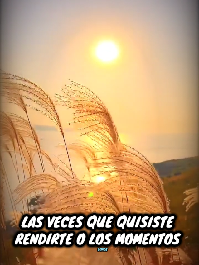 @alebau