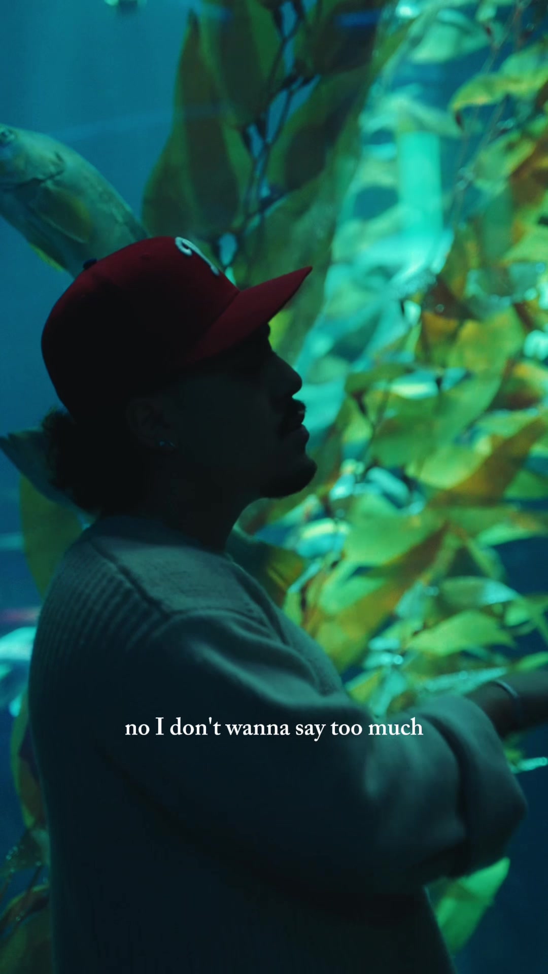 @Preston Pablo