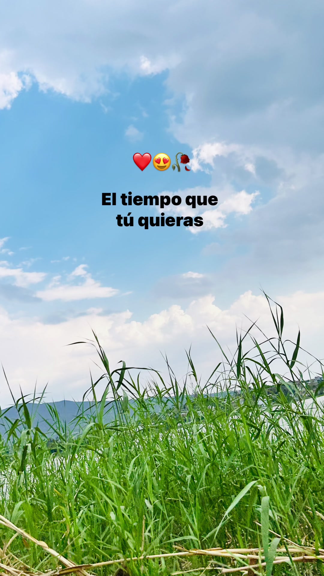 @lcia_65