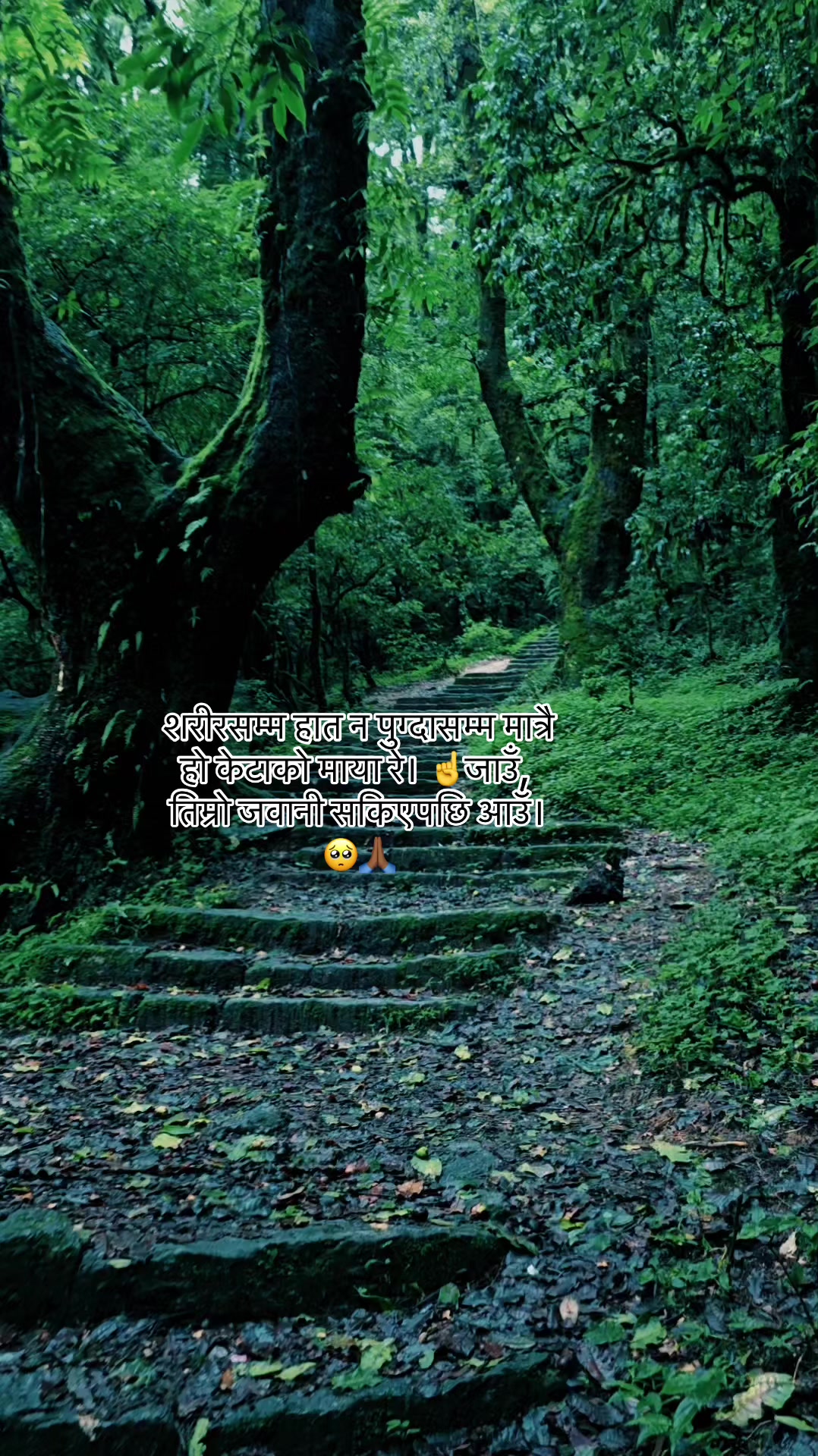 @मनछुनेलाईनहरू🥺