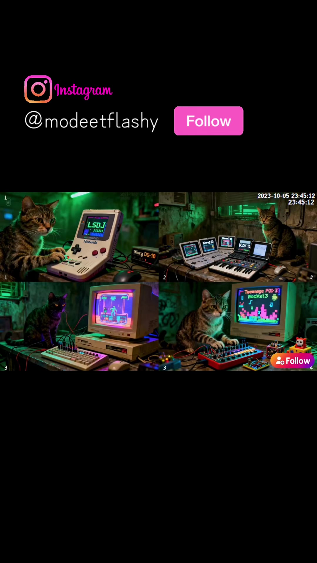 @mode et flassy