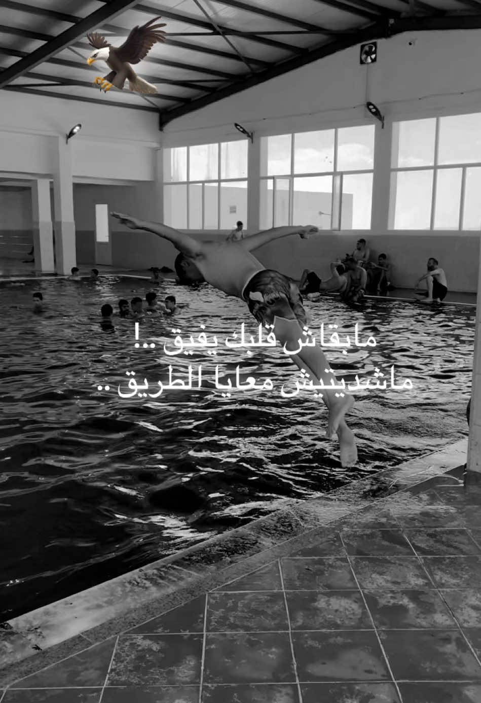 @Habib Mohamed