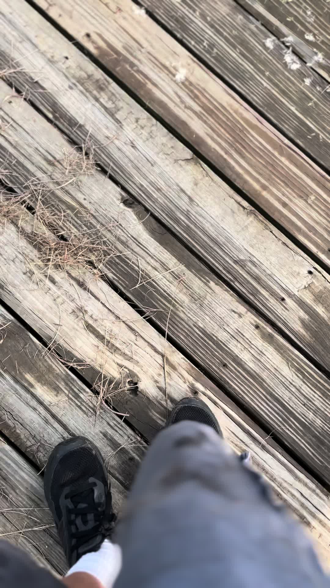 @kai_ridez