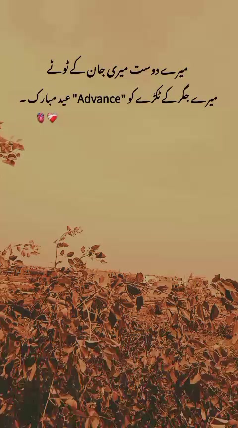 @میرا عشق کزن 🌝