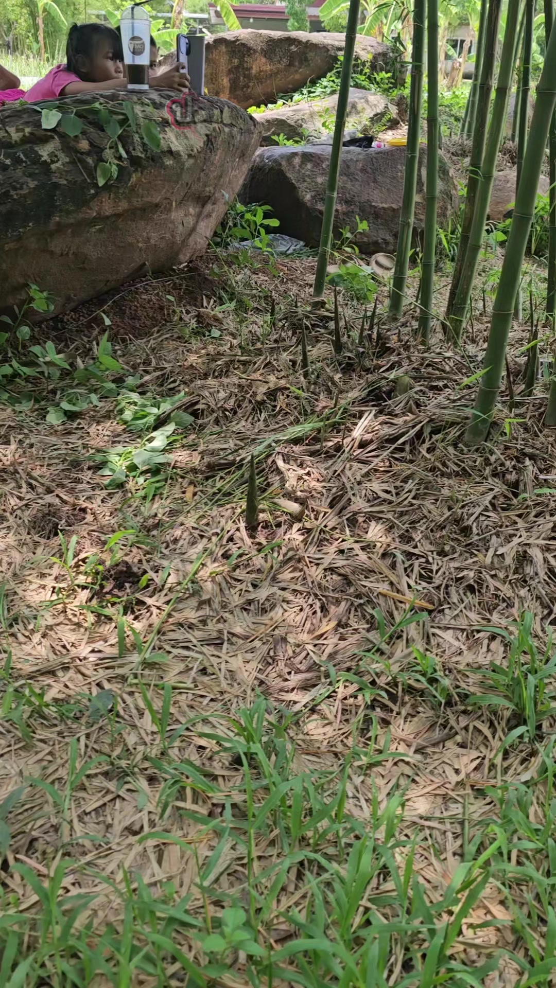 @นัดดาชอป