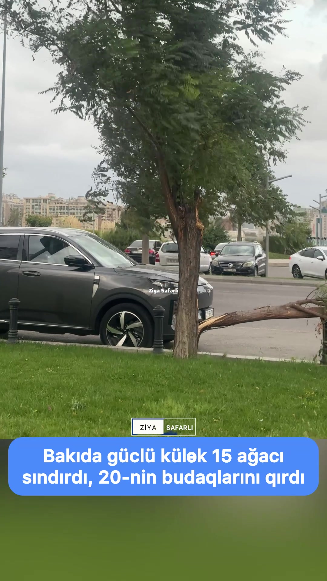 @Ziya Səfərli | Media & SMM