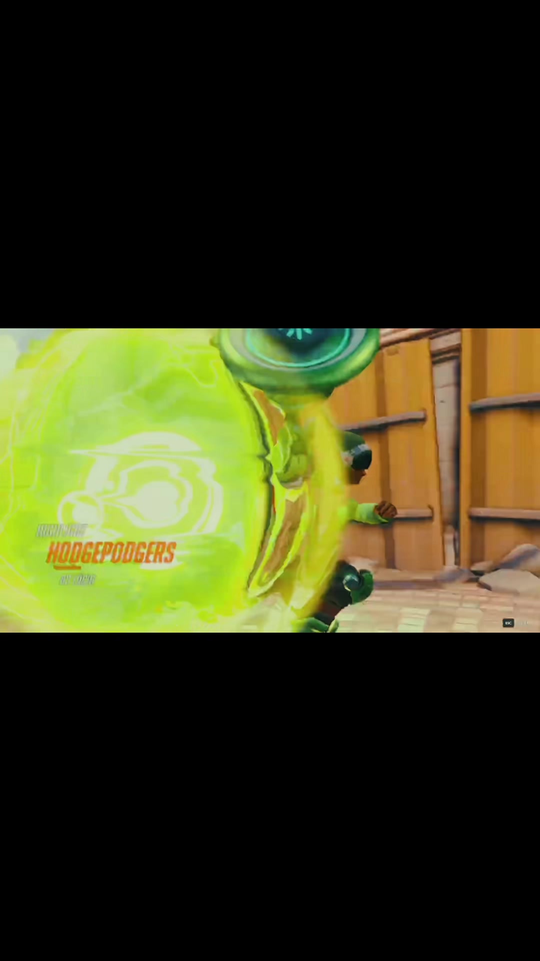 @hodgepodgers | Twitch Streamer