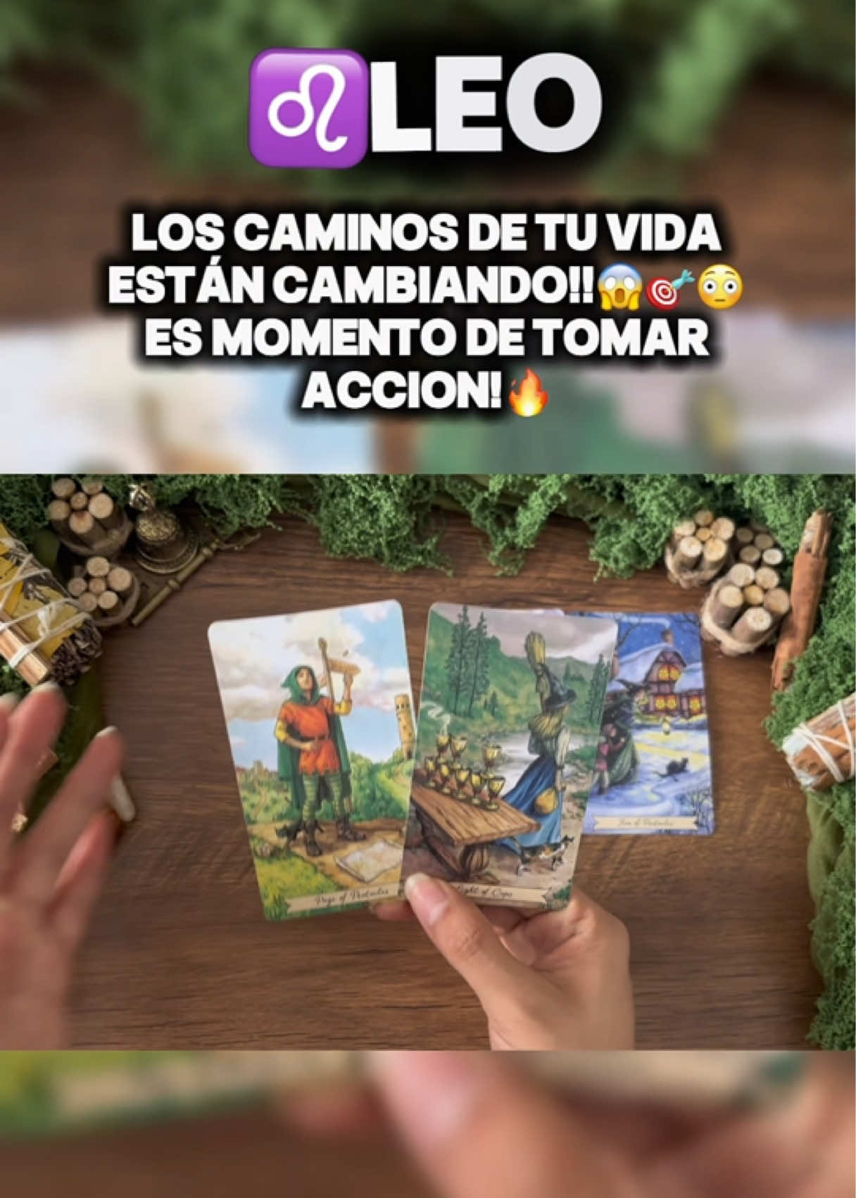 @Andy Sun Tarot ☀️