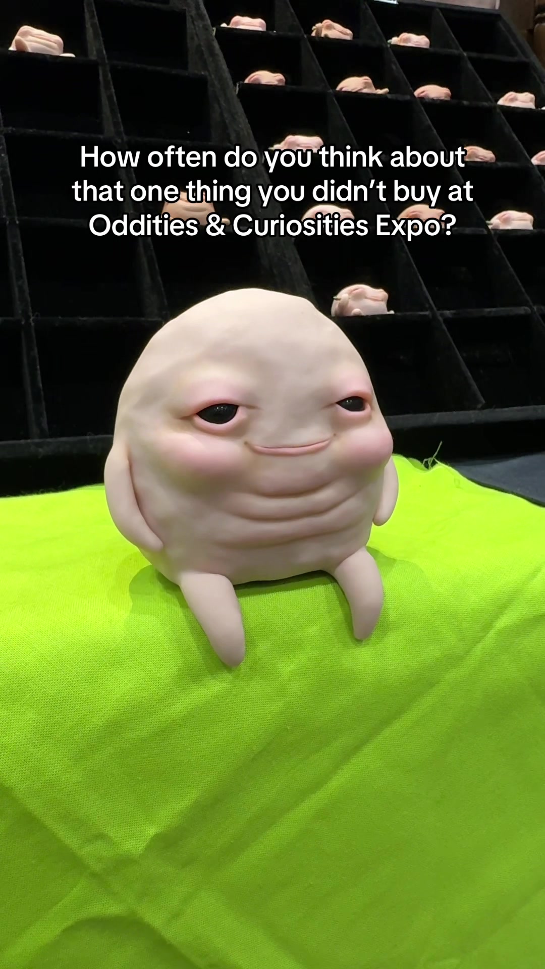 @Oddities & Curiosities Expo