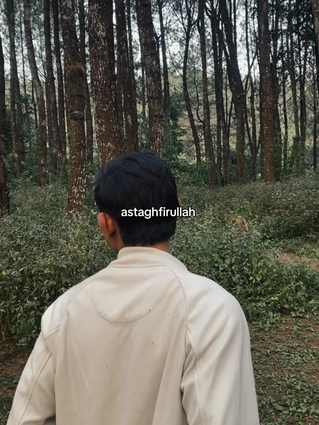 @๐๐ซ๐๐ฃ ๐๐ฅ