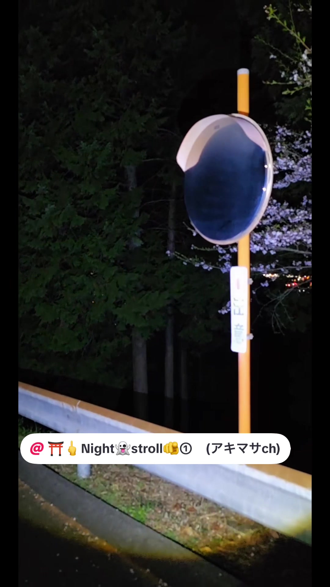 @そら。まめ。👻⛩✨🦁🏴☠️