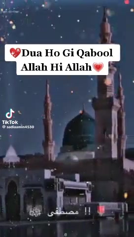@MD Sahmad Raja🥀محمد صحمد رضا?