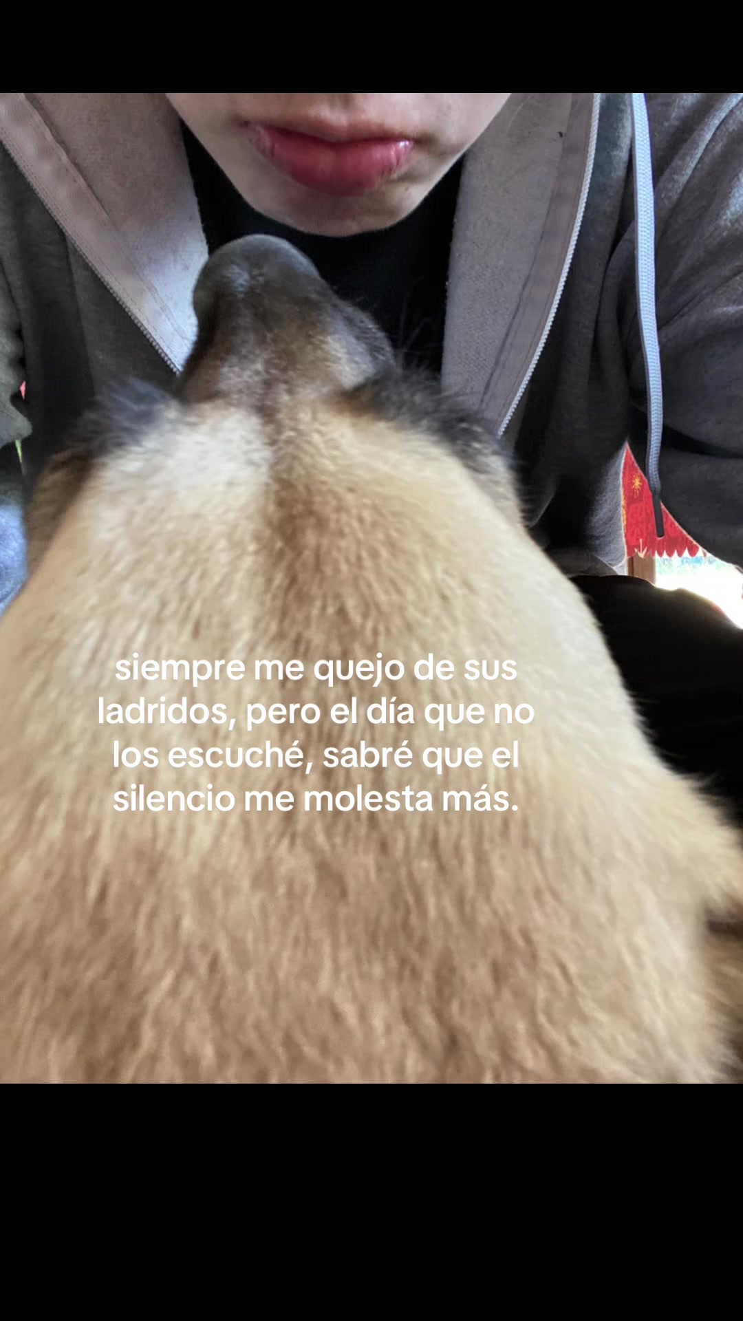 @samm_gnn