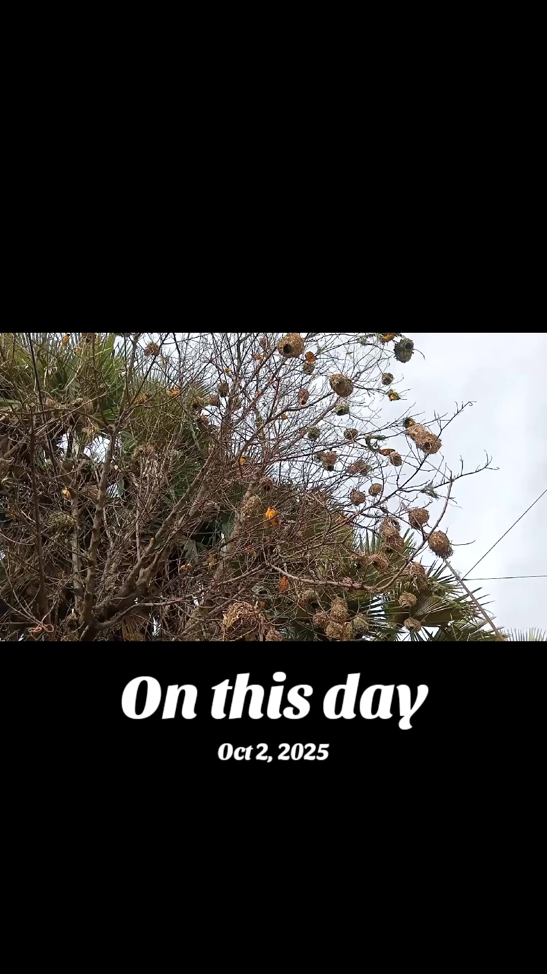 @बिन्दास