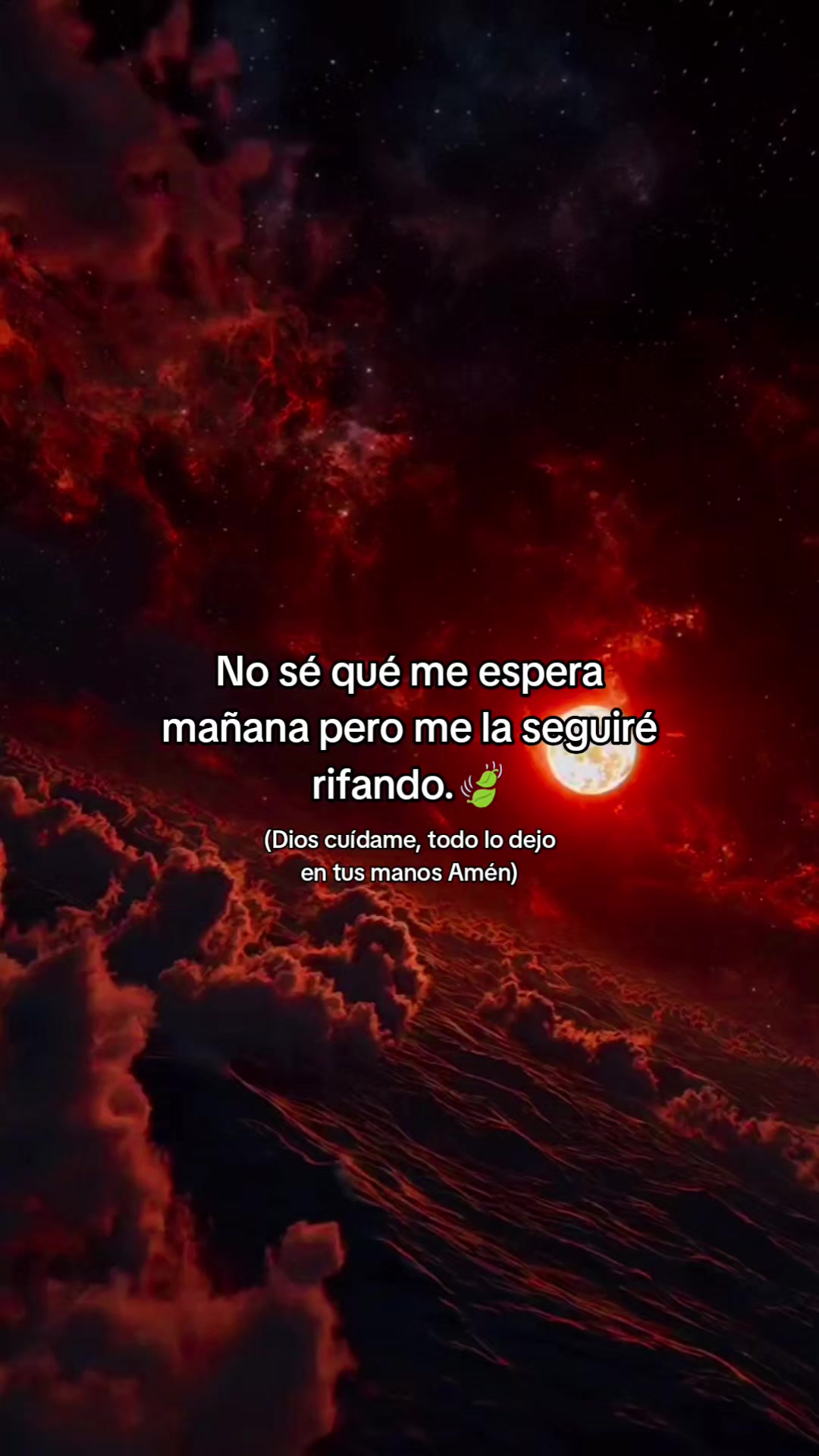 @yori
