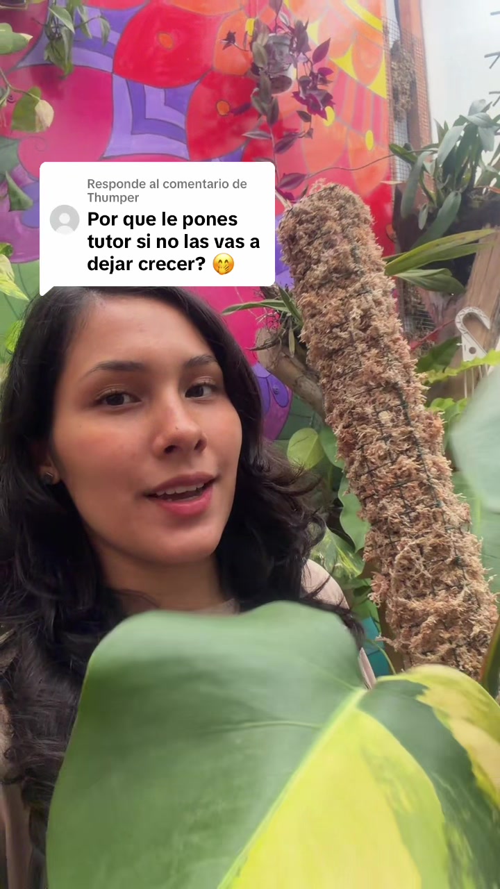 @arianacarrascolopez