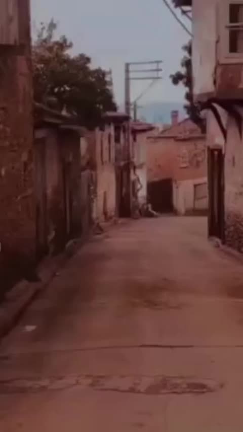 @الخال واصف