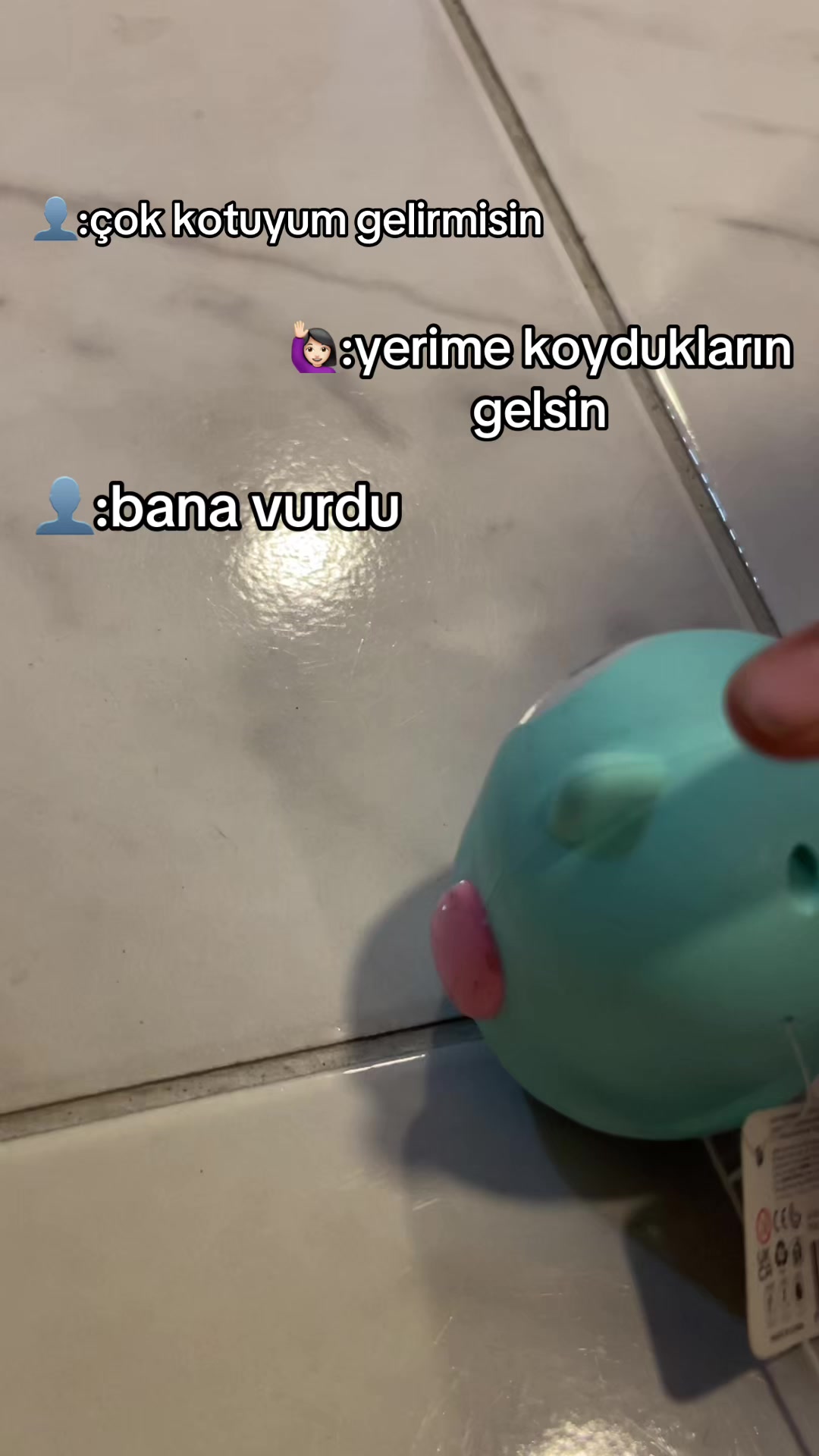 @beryhibiscuss1