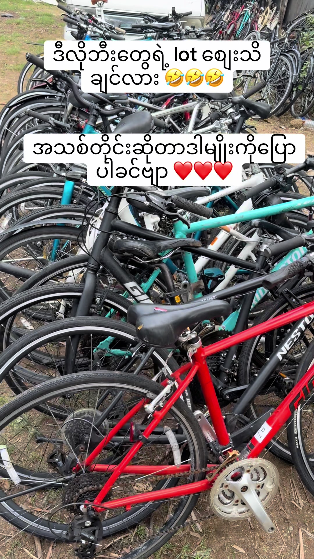 @Ko Bicycle
