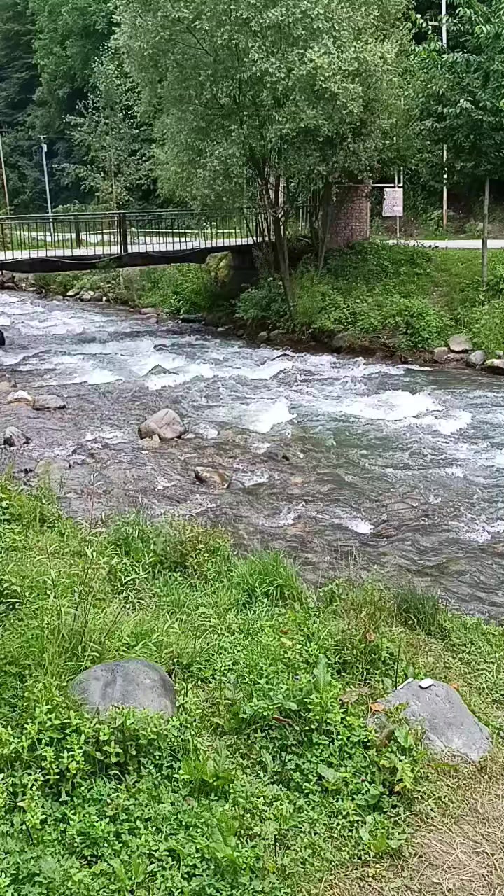 @⚜️  SARİF . MƏMMƏDOV  ⚜️
