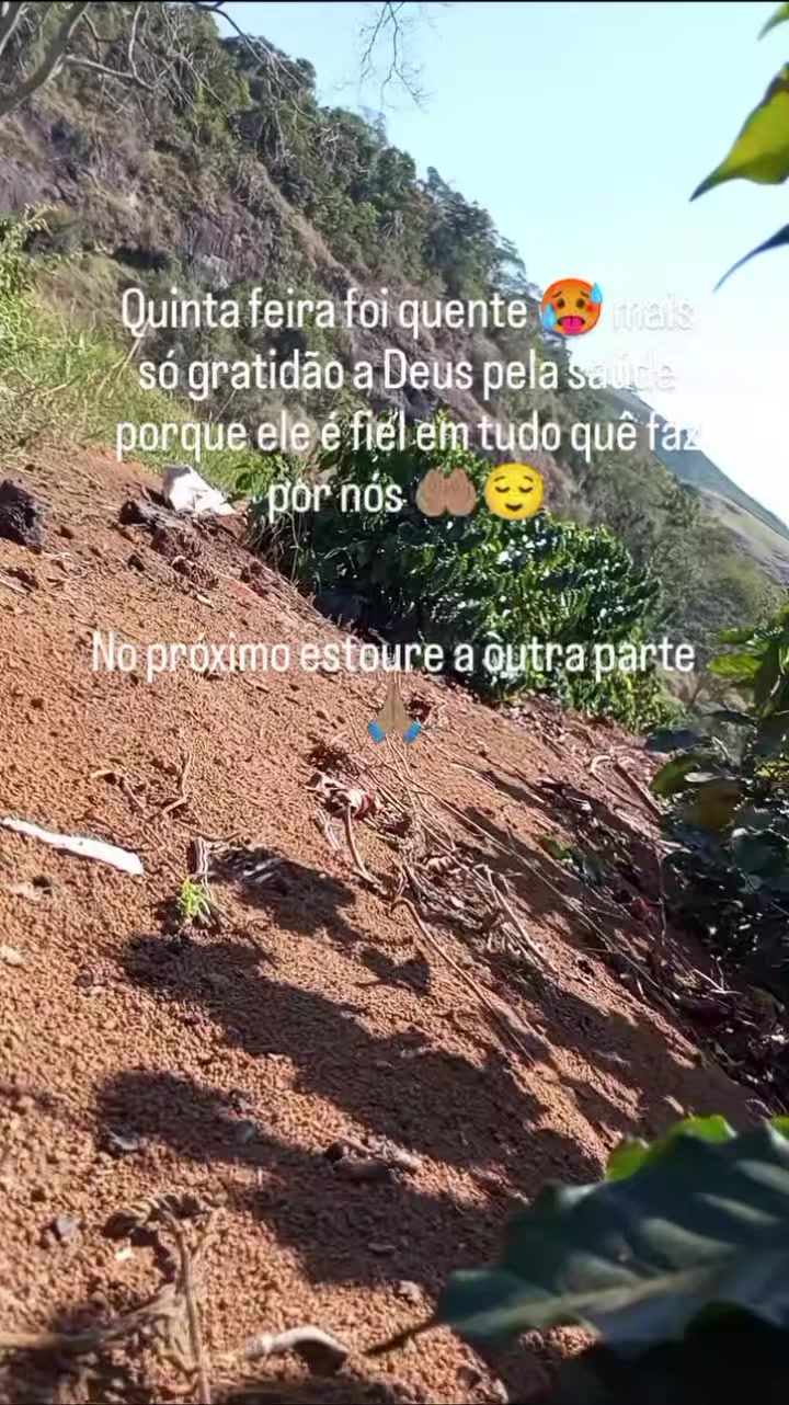 @M&Aacute;RCIA CARVALHO 🙌🏽💫❤️