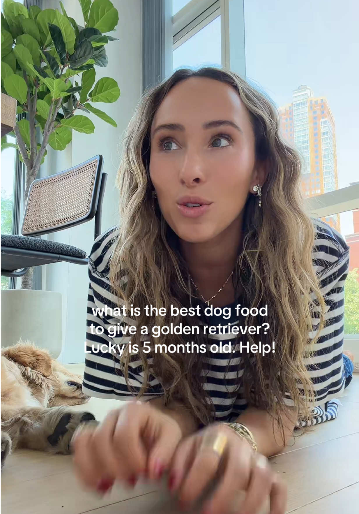 @Livschreiber