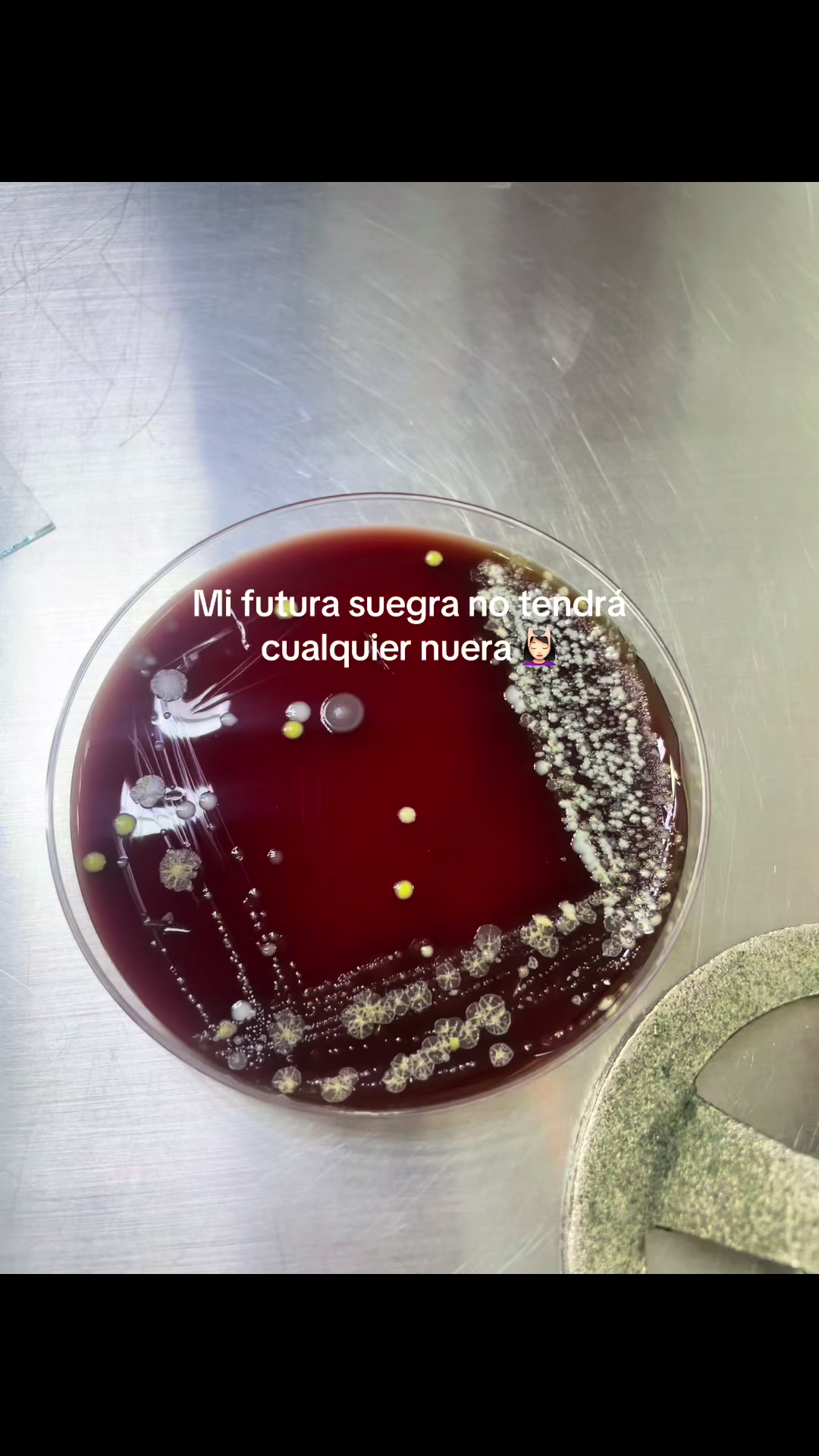 @Mia Márquez