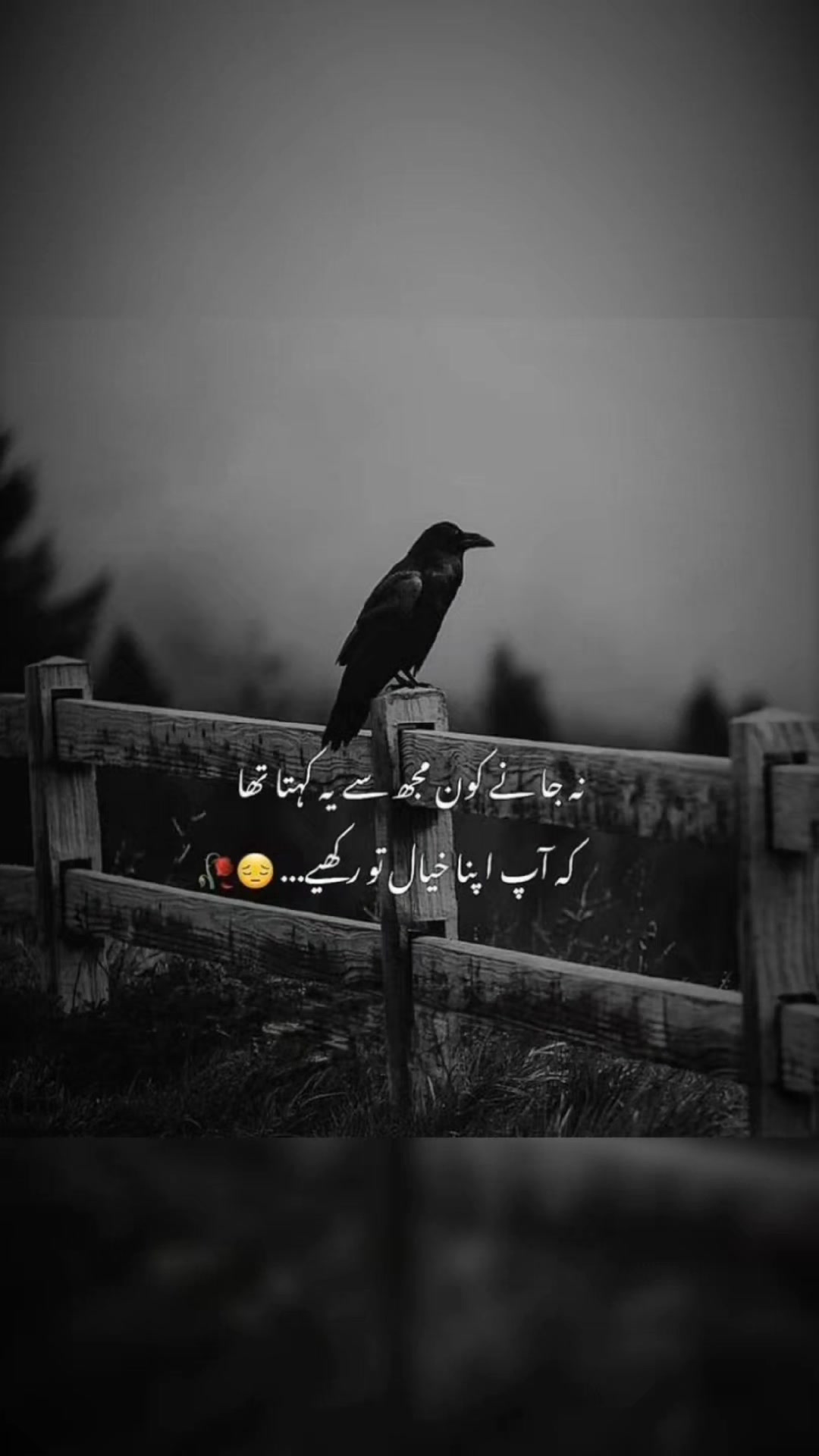 @Mearii