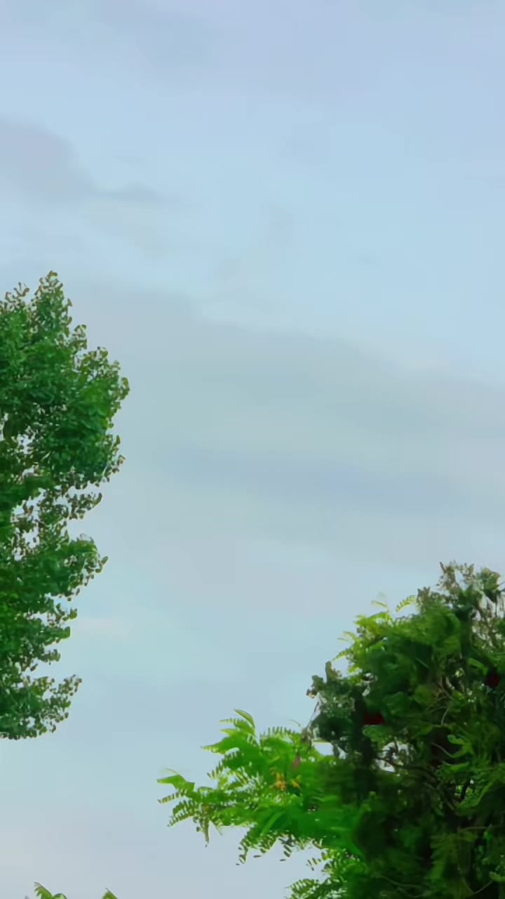 @꧁ ͡𝐌𝐊 𝐤𝐡𝐚̂𝐧̃꧂