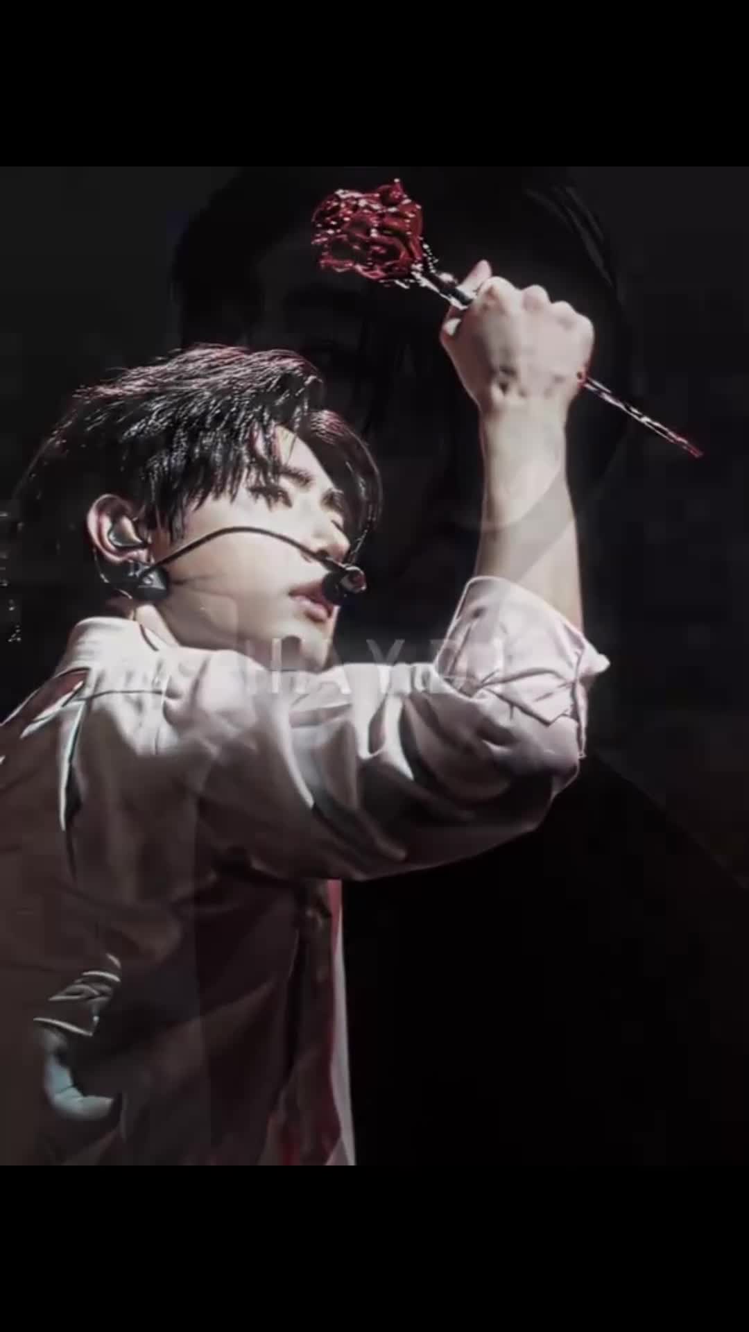 @☯︎shu porang porang linos☯︎