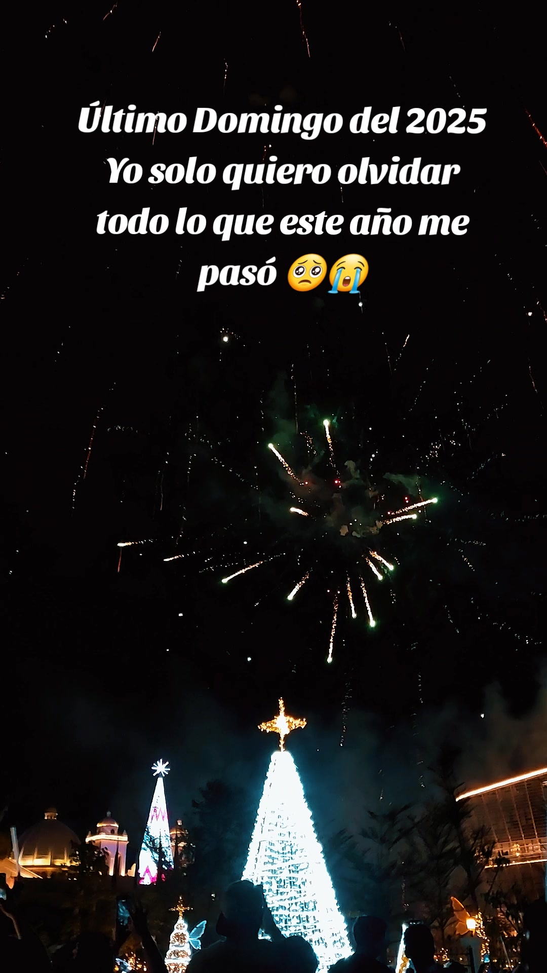 @anitagarcia17