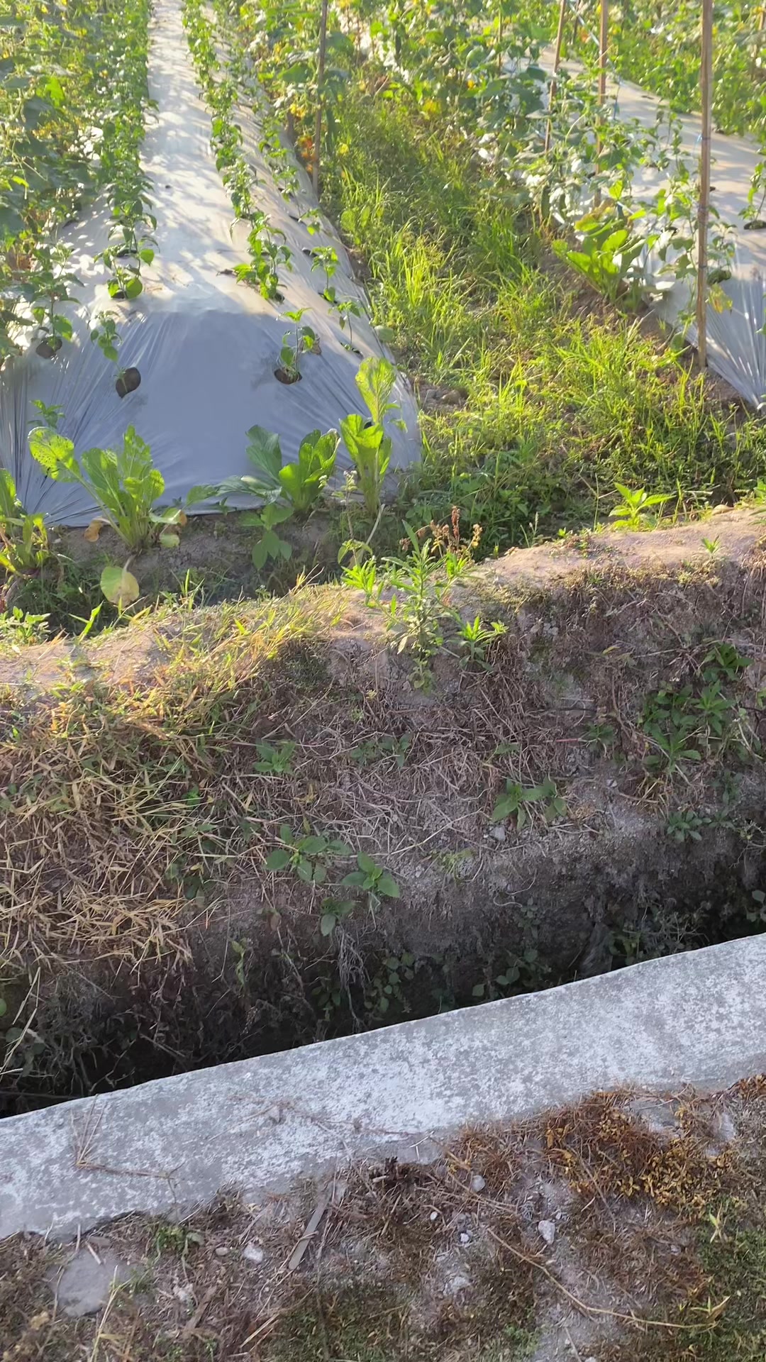 @Nandasetiawan