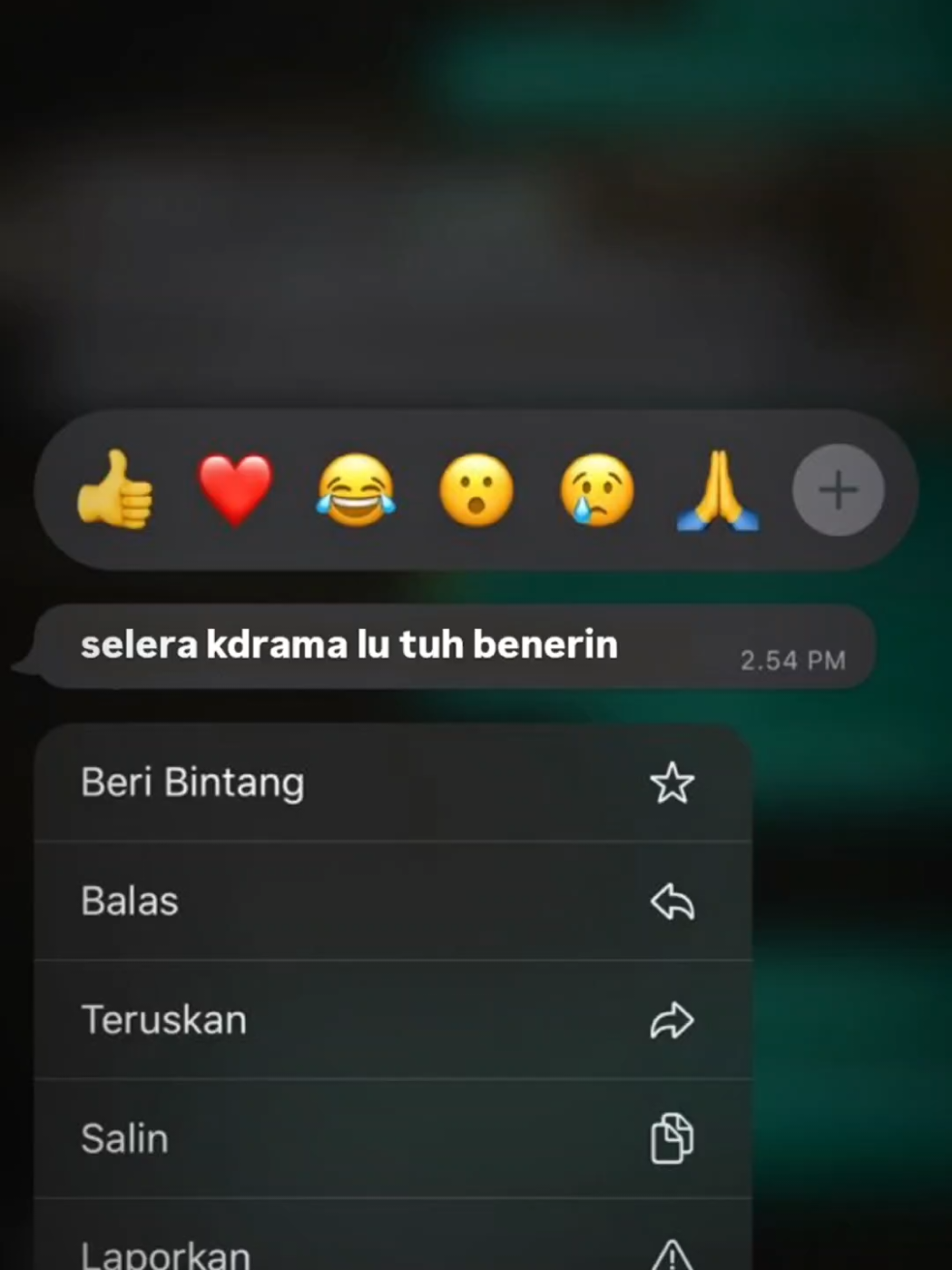 @haloo