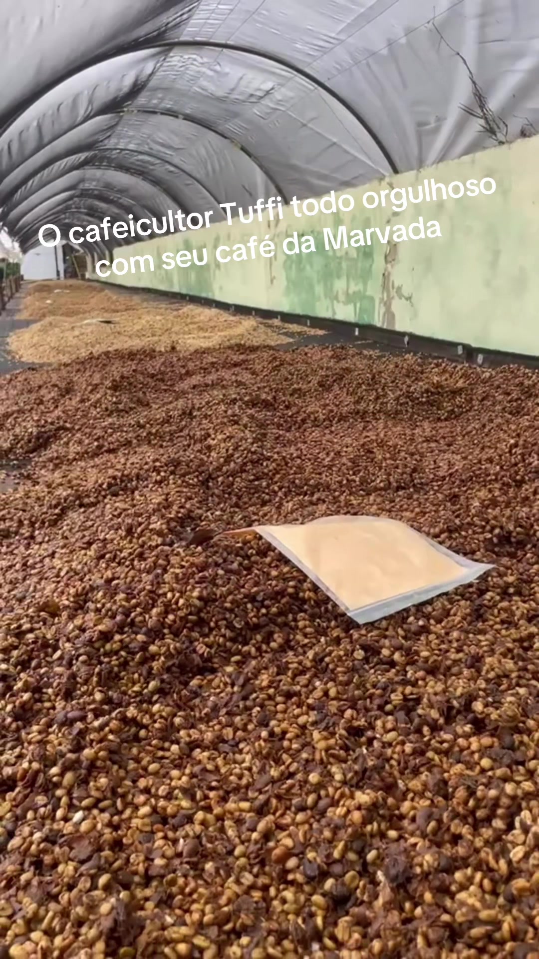 @Cafezal em Flor