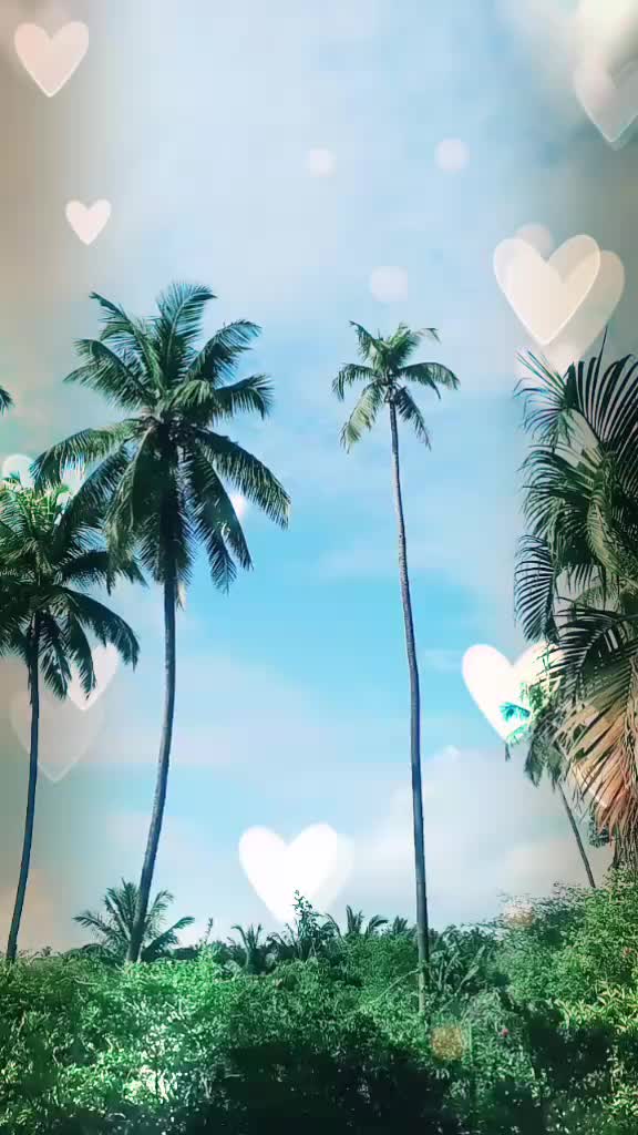 @BarkhaIndoria(ginni)