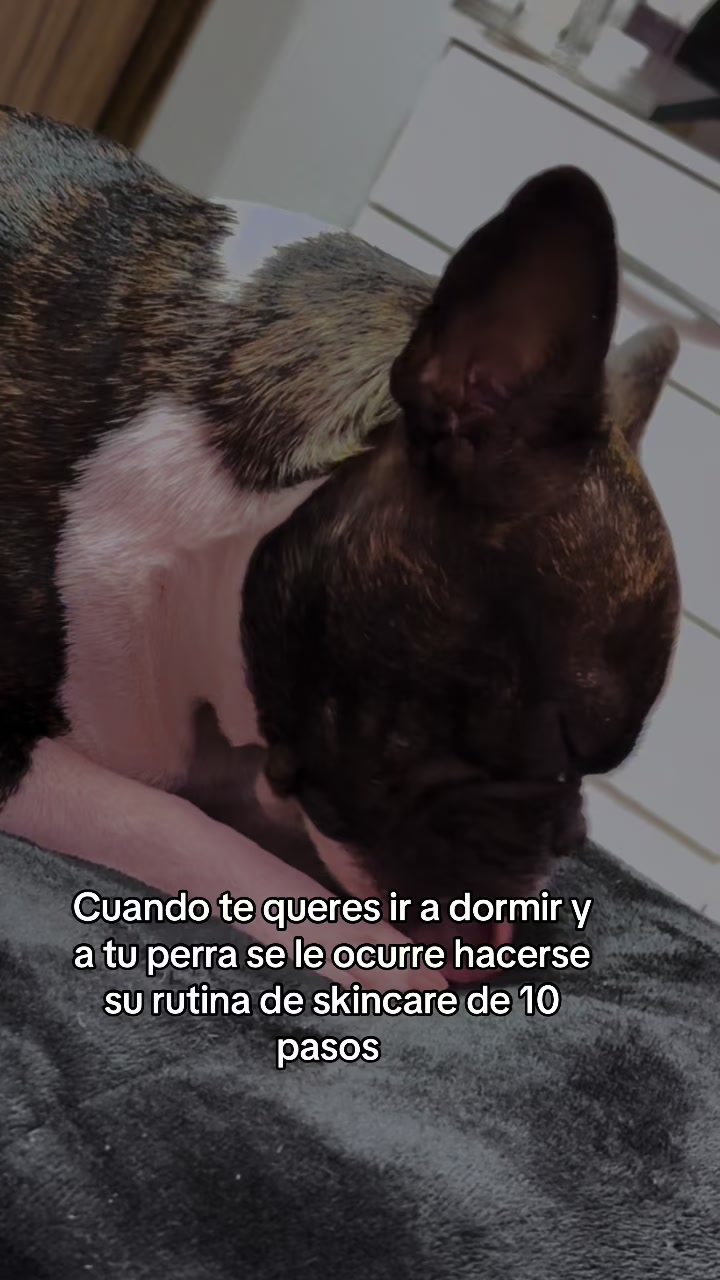 @steficurado1