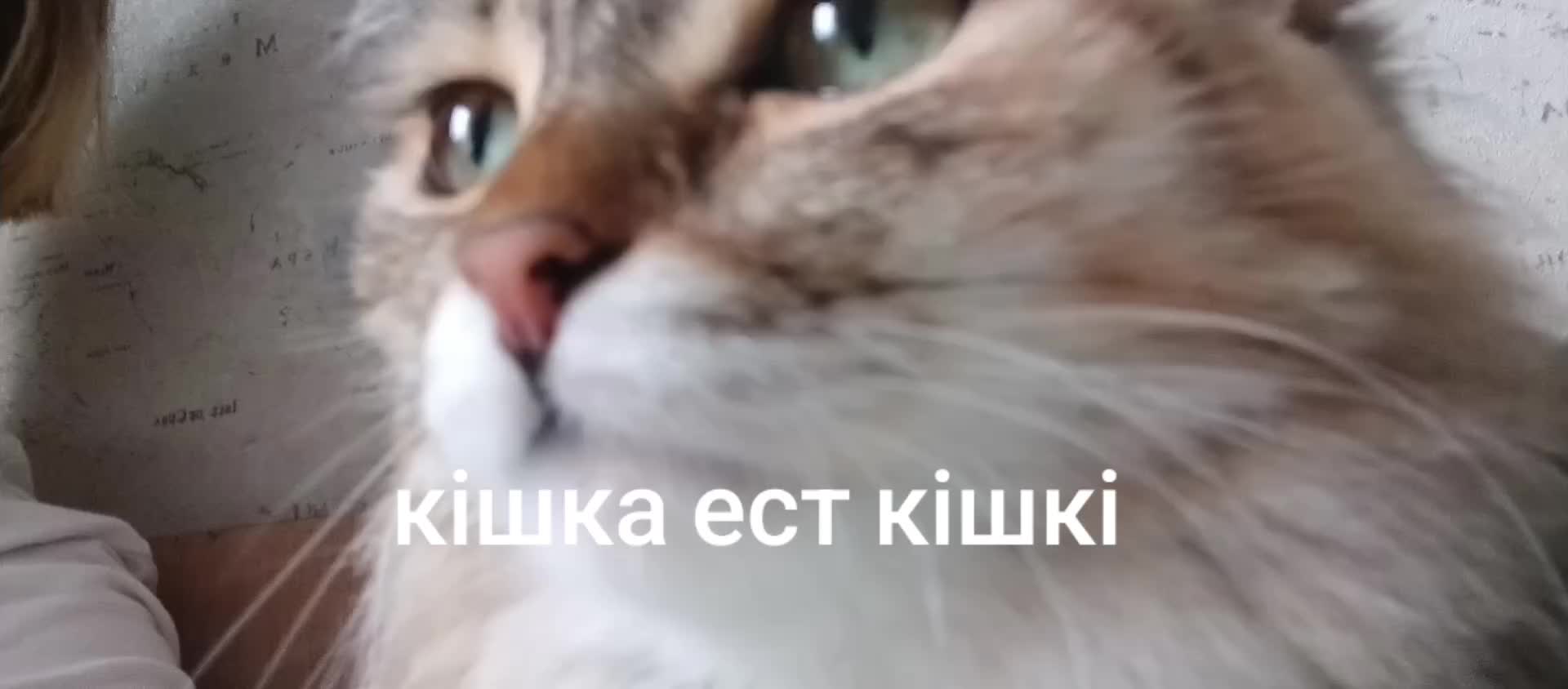 @cubupckaya wlyxv 🇬🇱