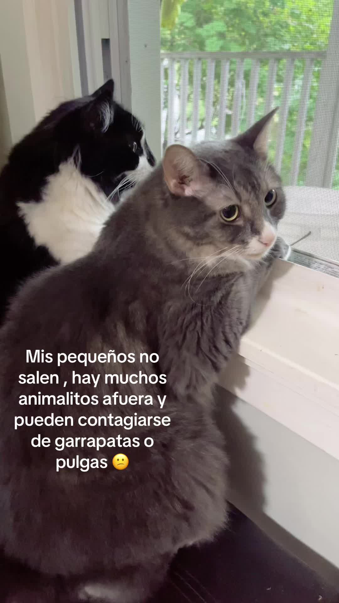 @Consuelo S