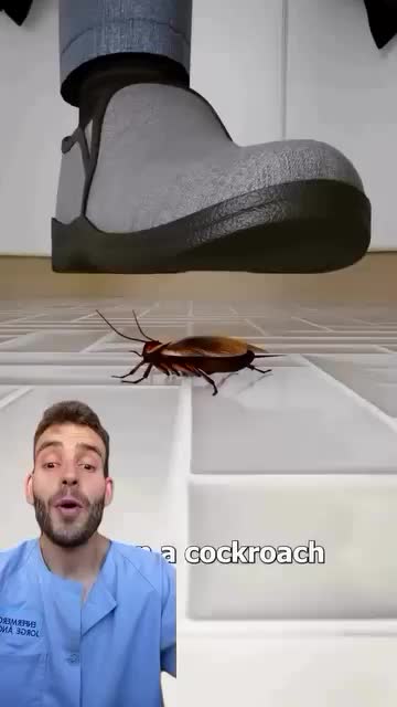 @Andrew_Lewis