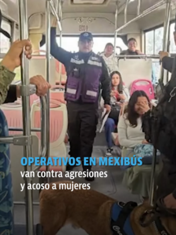 @elheraldodemexico