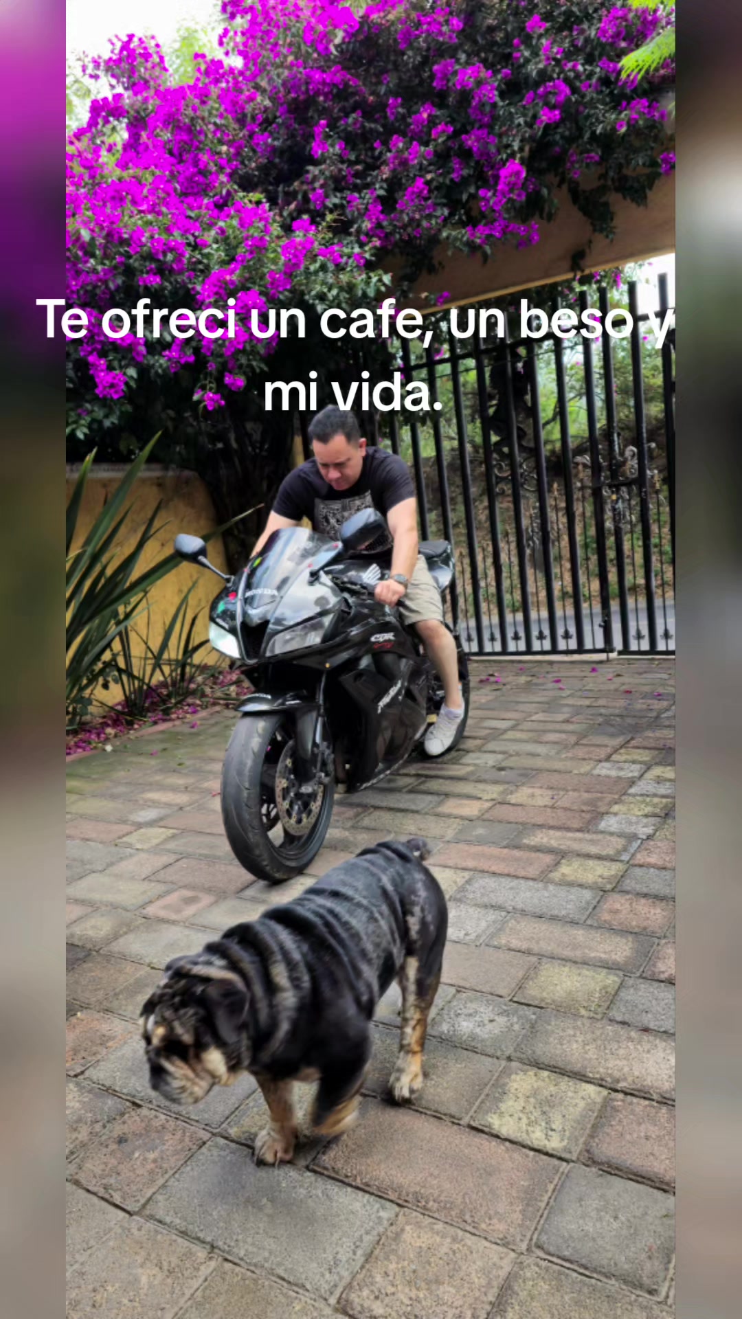 @Alejandro
