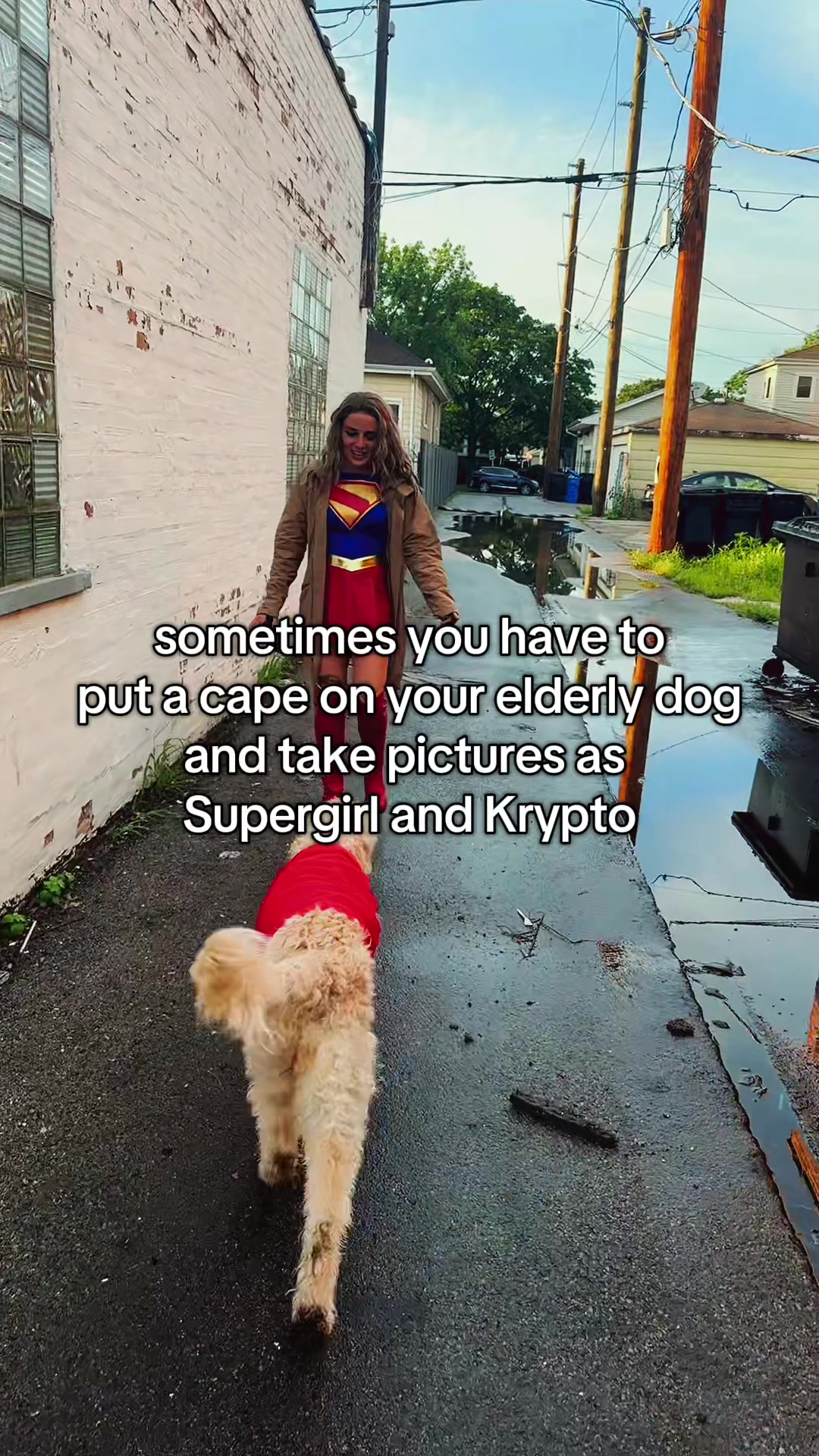 @yoyo