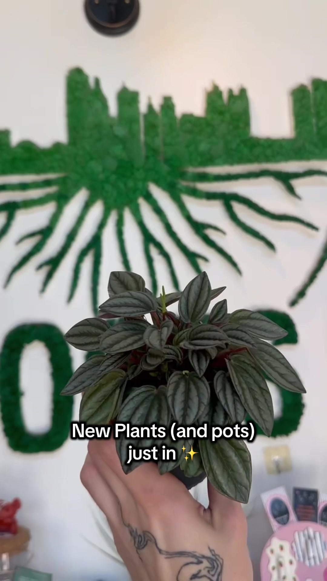 @Rootskc
