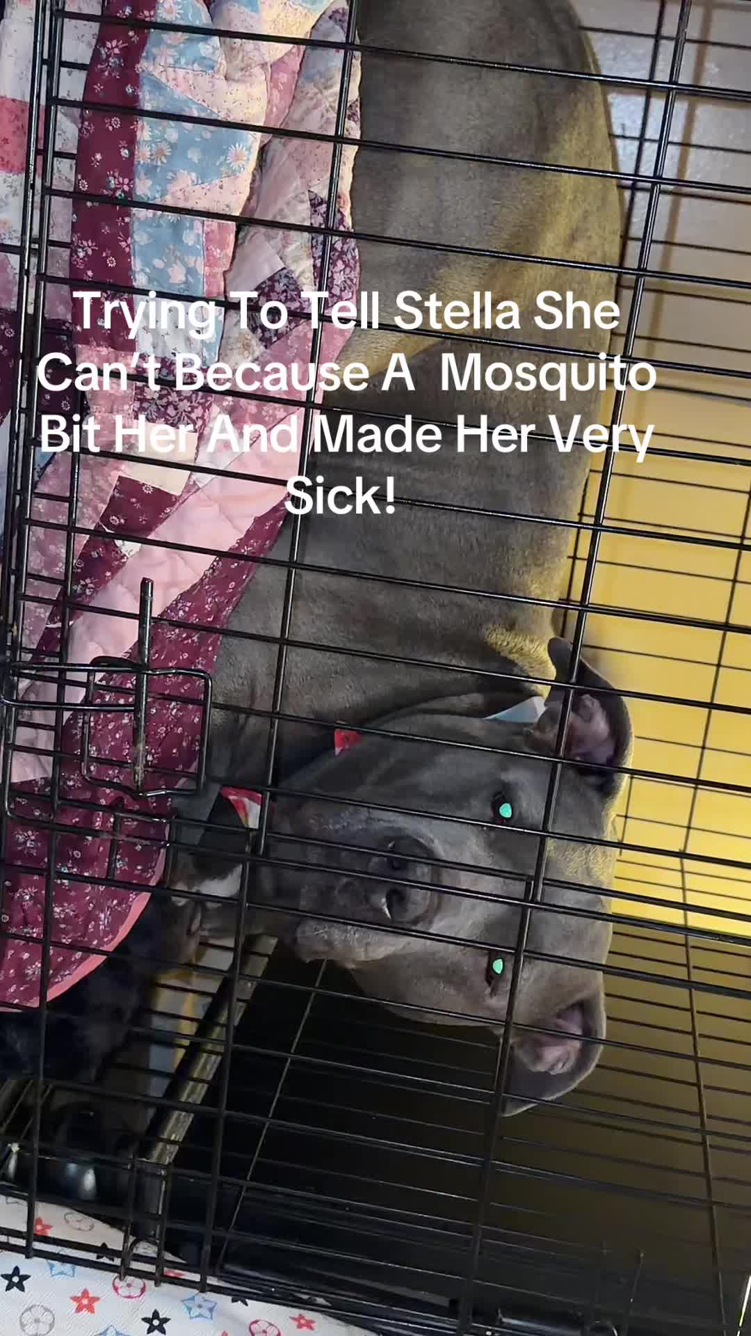@Sara