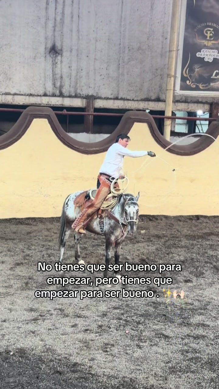 @Ani lindis