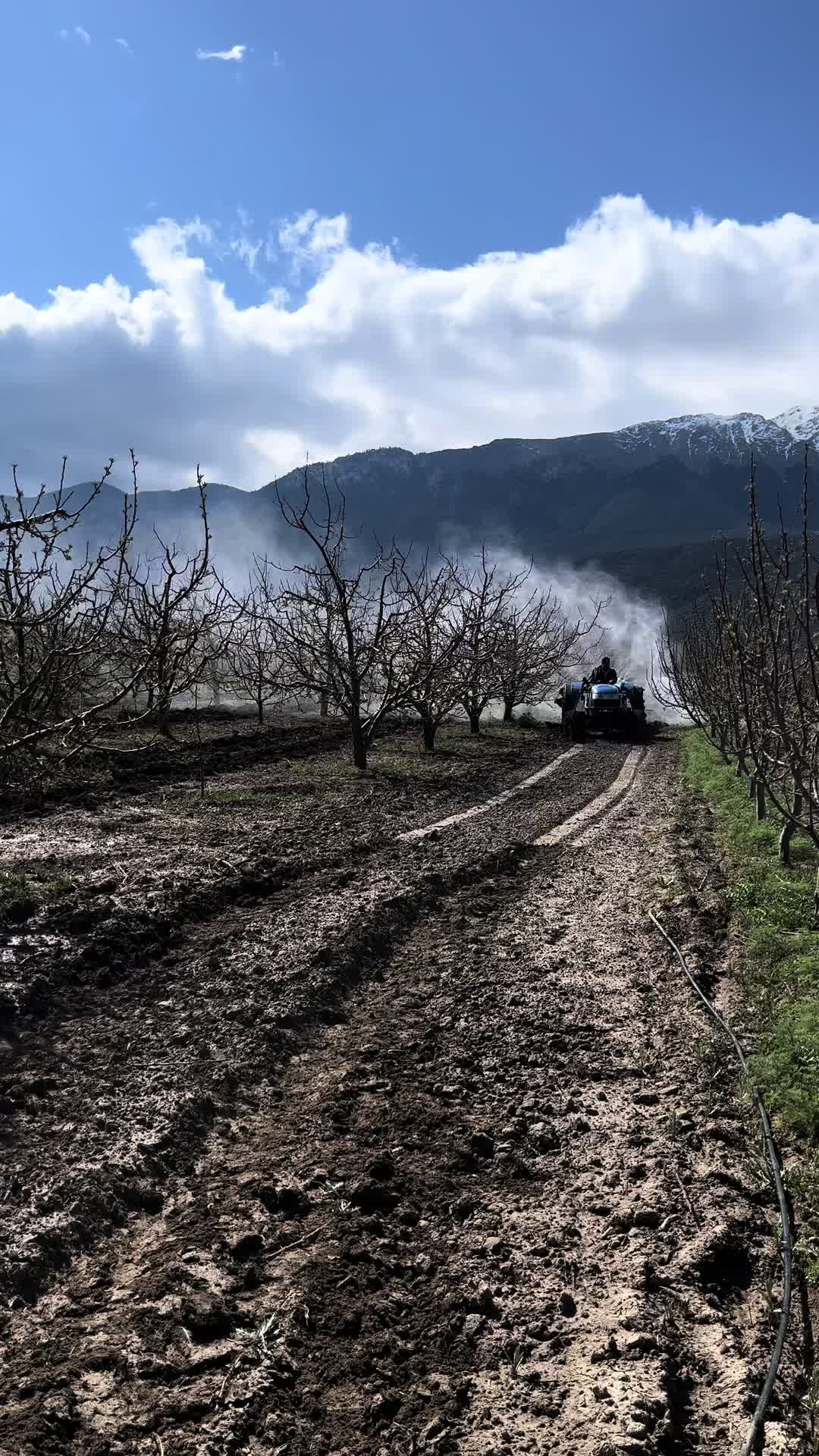 @Şahin Gömük