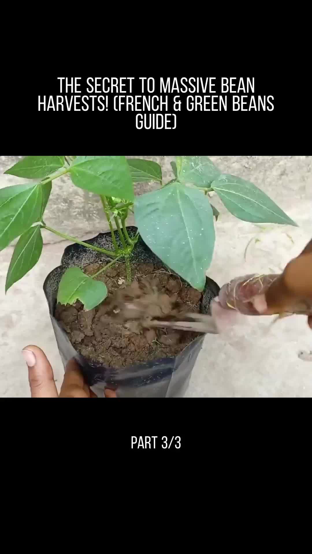 @user32331650853717
