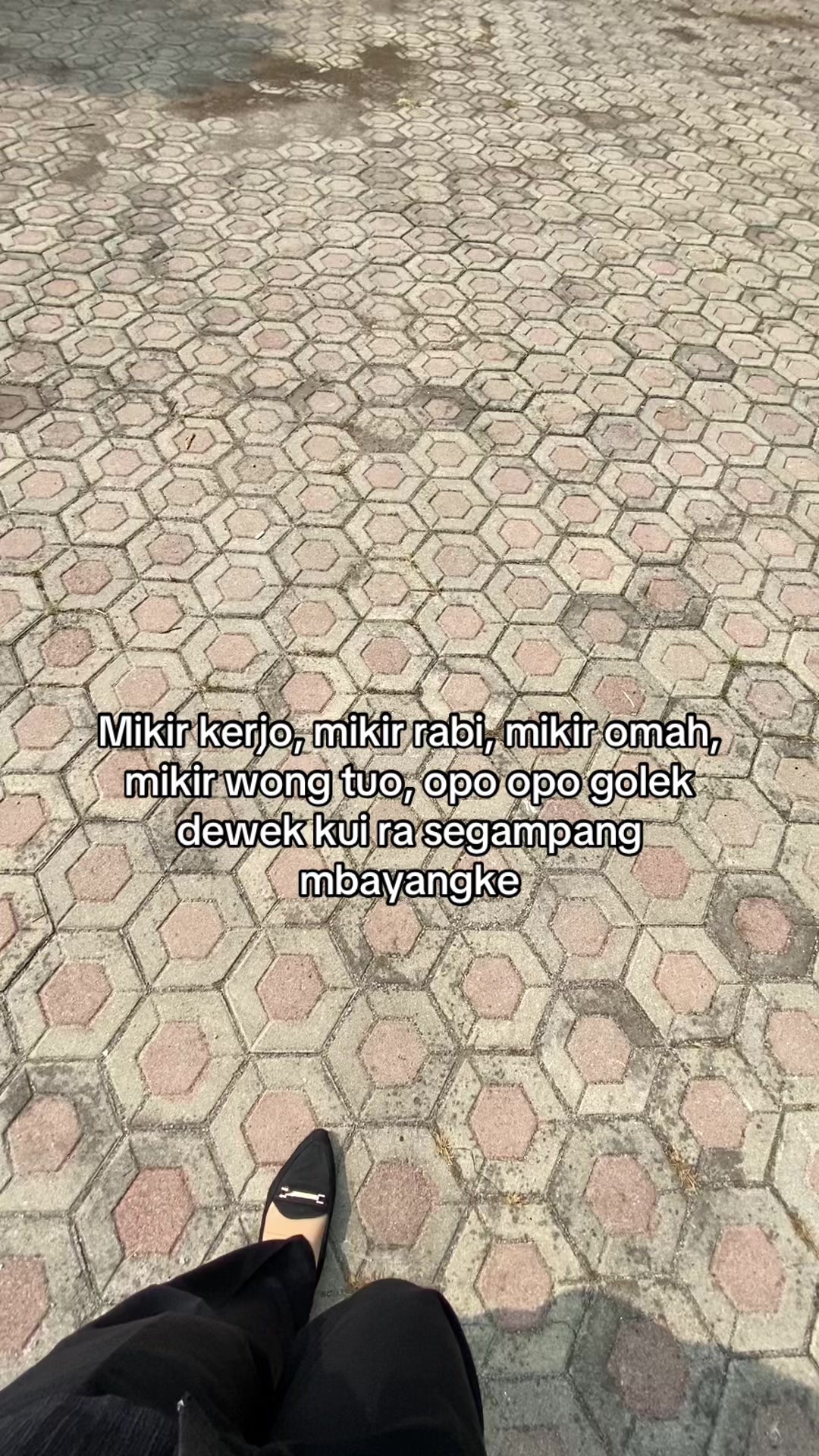 @🎬