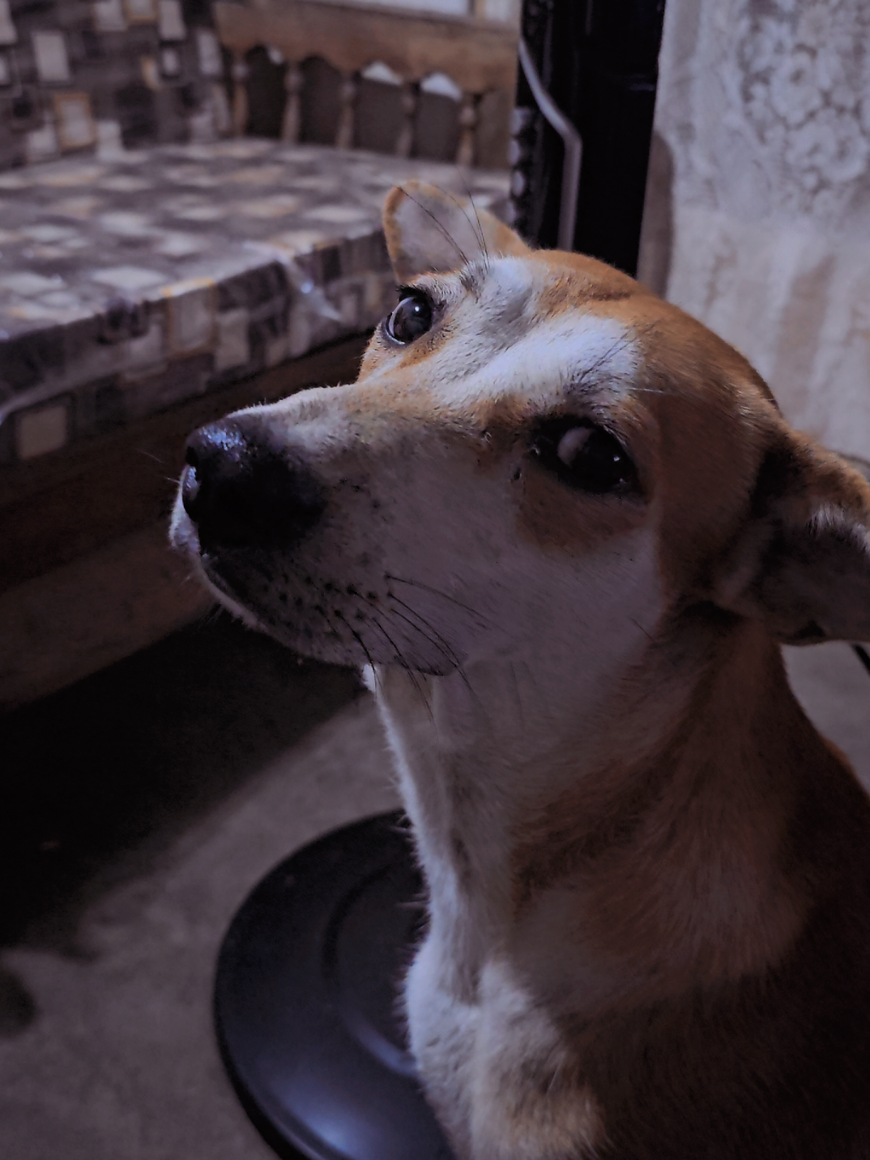 @𝗙𝗔𝗥𝗠 𝗪𝗜𝗡𝗚𝗦