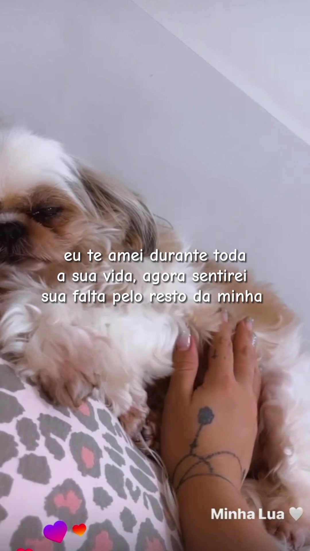 @Larissa Faria